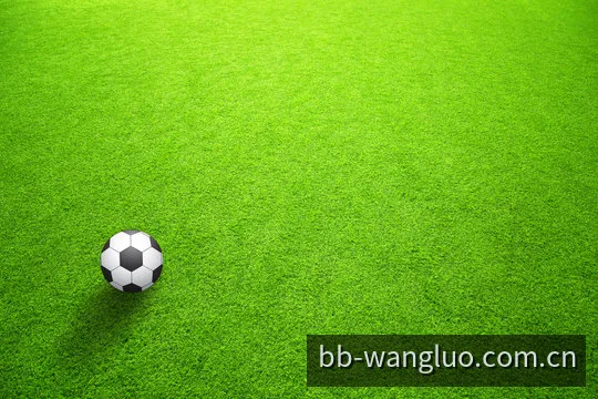 BB实时比分高速赛事数据中心